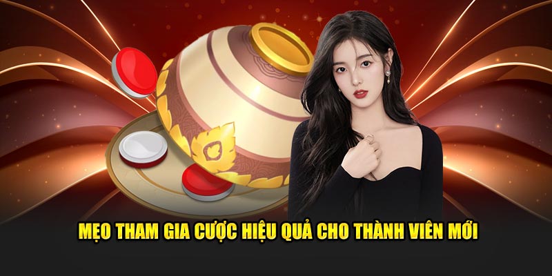 Mẹo tham gia cược hiệu quả cho thành viên mới